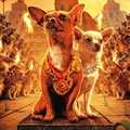 Click here to play the Flash game "Beverly Hills Chihuahua: Follow That Smell"