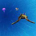 Click here to play the Flash game "Finding Nemo: Cruisin' with Crush"