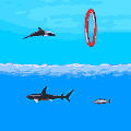Click here to play the Flash game "Dolphin"